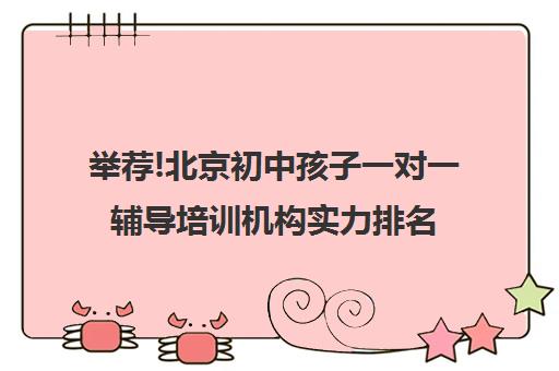 举荐!北京初中孩子一对一辅导培训机构实力排名〔排名一览〕