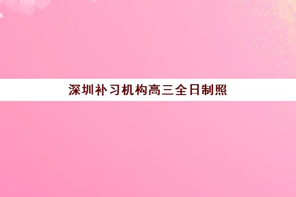 深圳补习机构高三全日制照片要求是什么样的？2025年最新证件照规格与拍摄全攻略