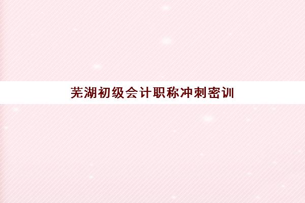 芜湖初级会计职称冲刺密训营2025辅导班哪儿最好？2025年最新权威排名榜单、选择标准与成功报名全攻略