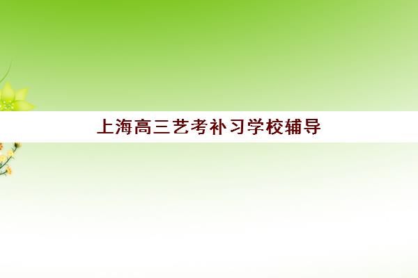 上海高三艺考补习学校辅导机构排名榜单如何查询？2025年最新权威排名与择校指南全解析