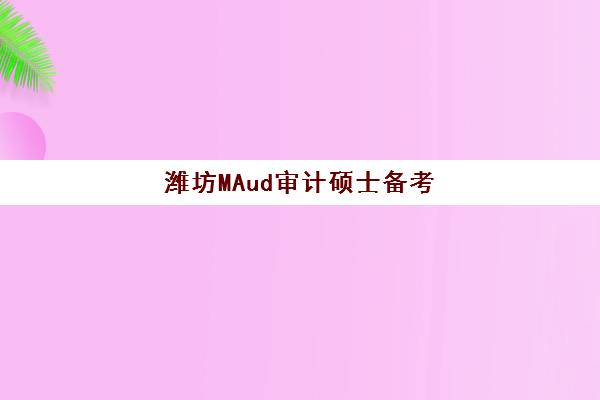 潍坊MAud审计硕士备考精品课程2025年时间如何安排？最新考试日程、课程表与备考全规划