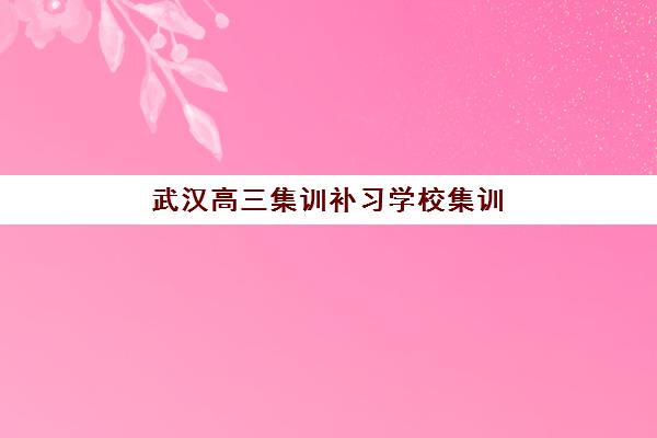 武汉高三集训补习学校集训营排名前十名学校如何选择？2025年最新权威榜单、择校指南与成功案例深度解析