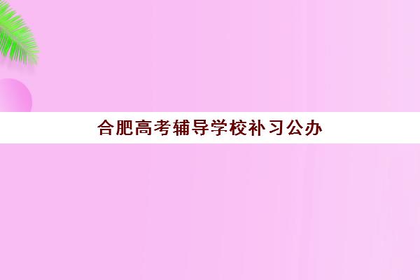 合肥高考辅导学校补习公办vs民办服务对比如何选择？2025年最新数据、优劣势分析与择校指南全解析