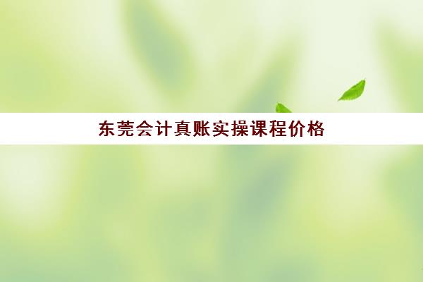 东莞会计真账实操课程价格多少？2025年十大机构费用对比与择校指南