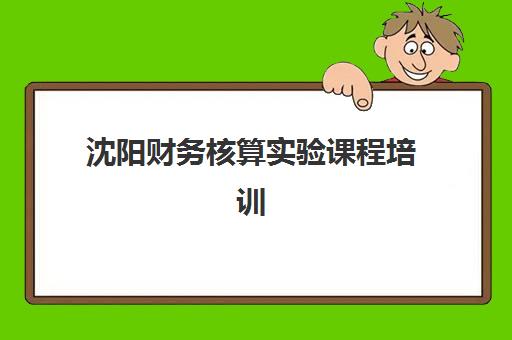 沈阳财务核算实验课程培训学校排名榜前十名如何查询？2025年最新榜单与择校指南全解析