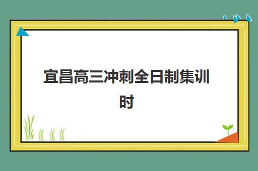 宜昌高三冲刺全日制集训时间2025具体时间如何查询？全年关键节点与备考日程全指南