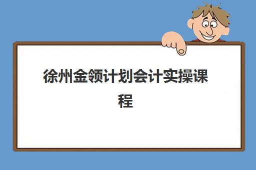 徐州金领计划会计实操课程辅导班哪个比较好一点？2025年权威TOP3推荐、课程对比与择校全攻略