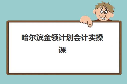 哈尔滨金领计划会计实操课程预报名考点查询时间如何安排？2025年最新课程安排、考点分布与报名全攻略