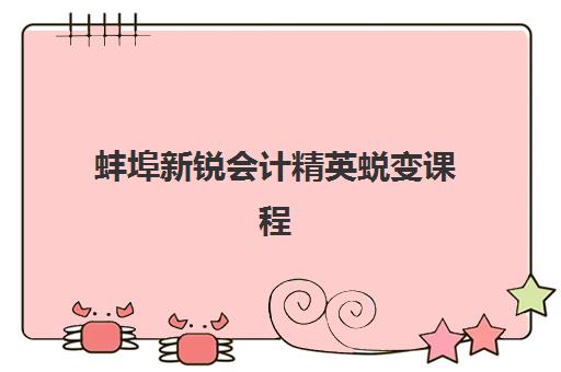 蚌埠新锐会计精英蜕变课程培训机构有哪些地方？2025年最新优质机构选择指南与课程特色解析
