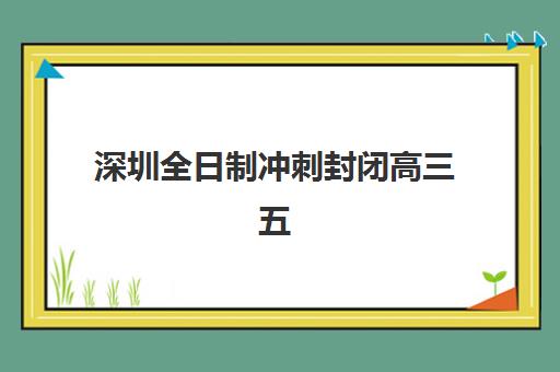 深圳全日制冲刺封闭高三五大机构服务能力如何分析？2025年权威服务评估、特色对比与择校指南