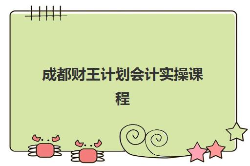 成都财王计划会计实操课程辅导机构哪个比较好？2025年最新机构实力对比与科学择校全指南