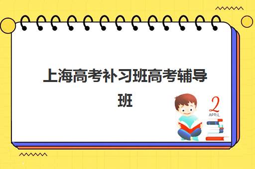 福州中级会计精品网络课程辅导机构如何选？2025年最新排名与择校指南