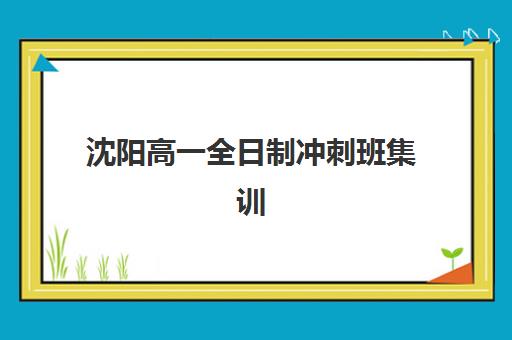 沈阳高一全日制冲刺班集训营如何选？2025年排名前十机构深度解析与择校指南