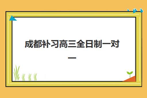 成都补习高三全日制一对一集训营哪家口碑好一点，如何根据师资与教学模式选择高性价比机构？